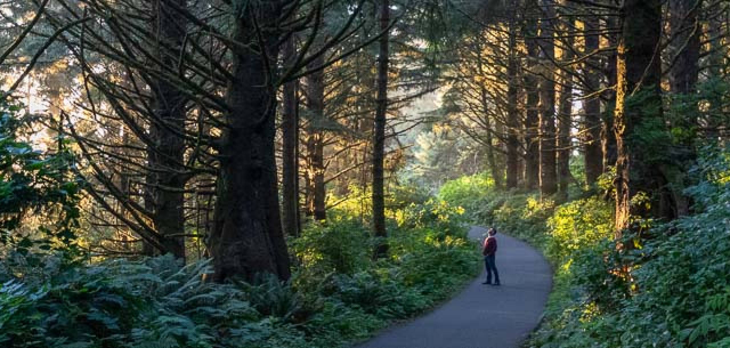 Washington Coast Vacation Rentals on Long Beach Bloomer Estates